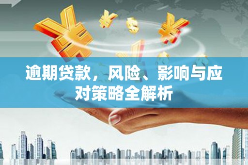 舟山新区逾期贷款，风险、影响与应对策略全解析