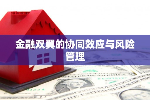 望奎金融双翼的协同效应与风险管理