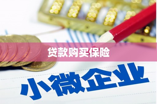 汉源贷款购买保险